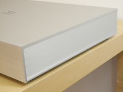 Densen B-310
